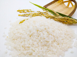 冷めても美味しい<br>
ともえや 特別栽培米<br>
5kg<br>
お米はすべて精米前で計量しておりますので精米後は約4.5キロになります。
ご希望のお客様にはぬか(500g)をお付けします。